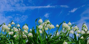 Poznati meteorolog otkriva da li je zimi došao kraj