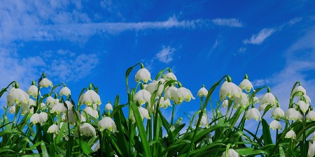 Poznati meteorolog otkriva da li je zimi došao kraj