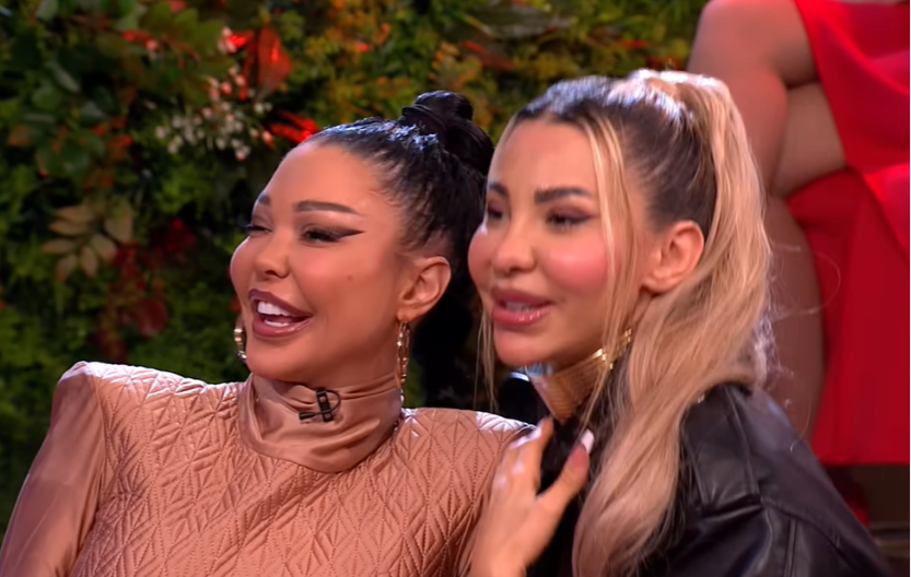 Kakav preokret: Aneli razotkrila aferu Maje i Desingerice, evo šta joj je bivša drugarica sve priznala! (VIDEO)