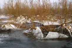 Rijeka Sava u Gradišci svako doba godine pretvara u umjetnost (FOTO)