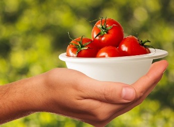 Nauka bez granica: Uzgojen paradajz sa aromom kokica