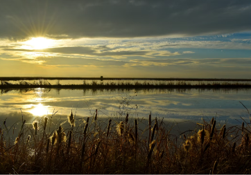 Prognoza za 23. februar: Evo kakvo nas vrijeme danas očekuje 