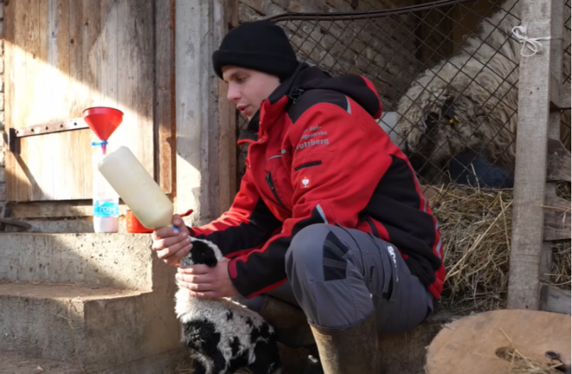 Emotivna priča mladog Miloša: Kupio prvu ovcu u sedmom razredu, danas spava u šatoru sa 300 ovaca