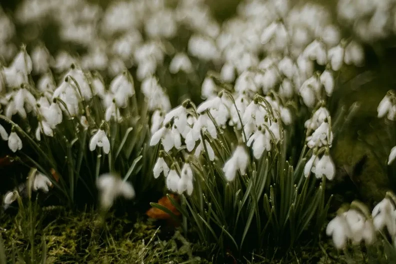 Meteorolozi objavili prognozu za naredne dane: Biće natprosječno toplo