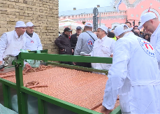 Srbi imaju najdužu kobasicu na svijetu: Dva kilometra delikatese košta kao luksuzni automobil