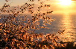 Prognoza za 25. februar: Evo kakvo nas vrijeme danas očekuje 