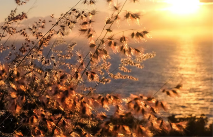 Prognoza za 25. februar: Evo kakvo nas vrijeme danas očekuje 