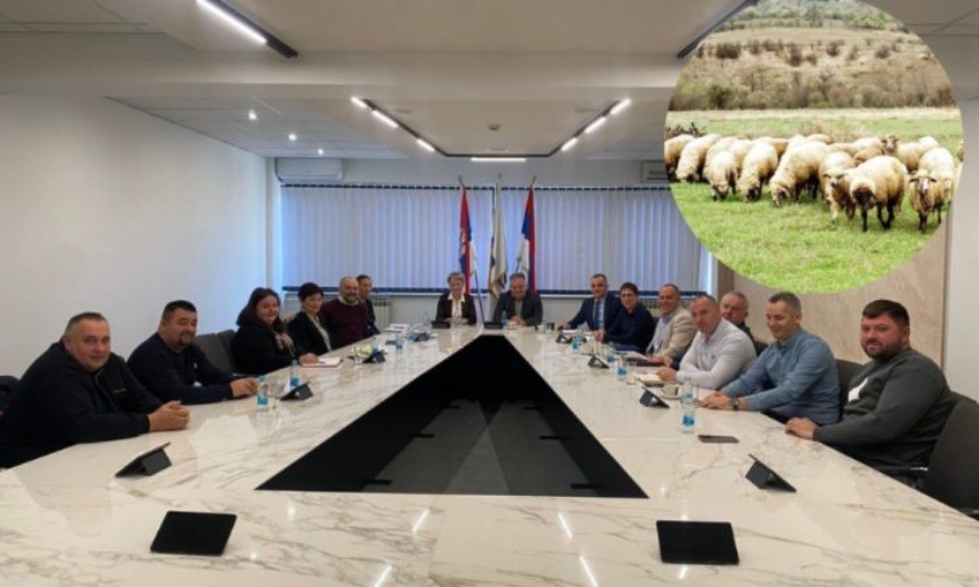 U Lijevču polju nomadska ispaša pravi probleme lokalnim poljoprivrednicima