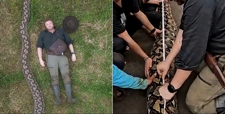 Ovo je najduža zmija ikada izmjerena u divljini: Ima preko 100 kg