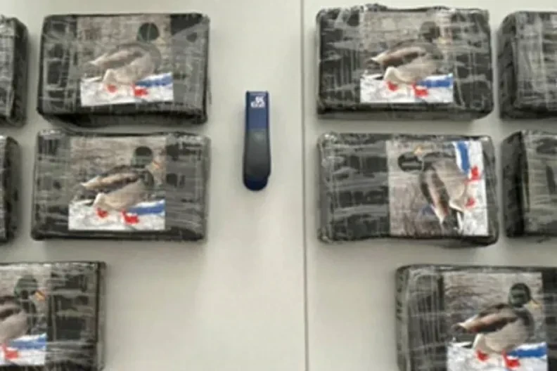 Uhvaćeni sa 10 kg kokaina: Državljani BiH osuđeni na višegodišnje kazne