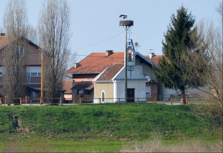 Vratile se rode: Milka došla u gnijezdo koje je sredio Đuro