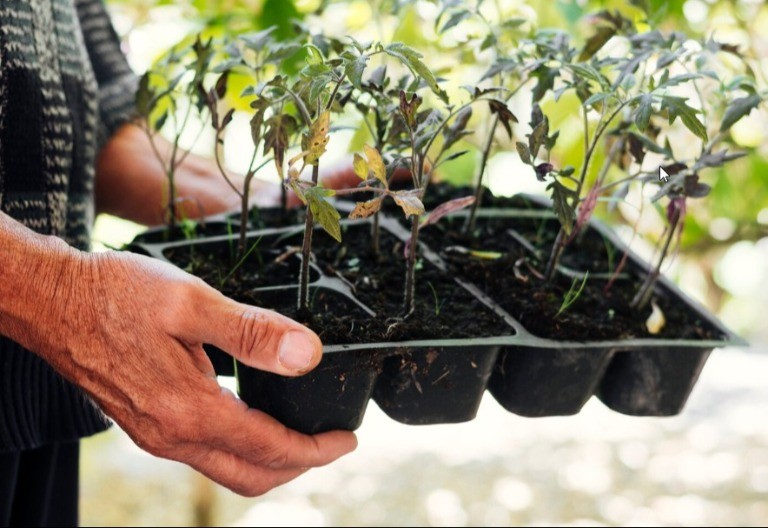 Pripreme za sjetvu uveliko počele: Cijene goriva diktiraju poljoprivrednu sezonu