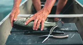 Opasna riba ulovljena u Jadranskom moru: Jedan zalogaj može biti fatalan