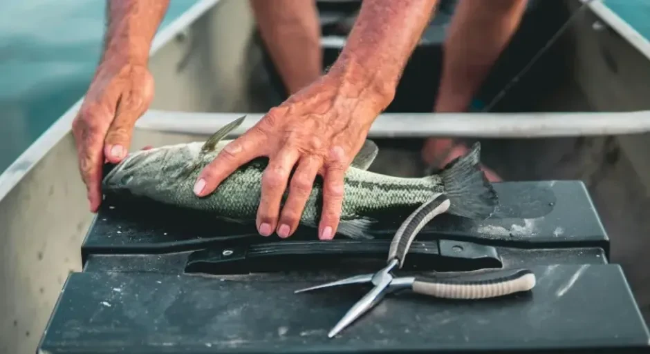 Opasna riba ulovljena u Jadranskom moru: Jedan zalogaj može biti fatalan