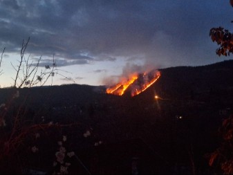Požar kod Foče zahvatio šumu i nisko rastinje