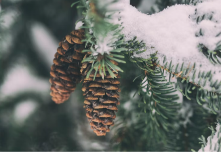 Jak vjetar i snježne oluje pogodile srednji zapad