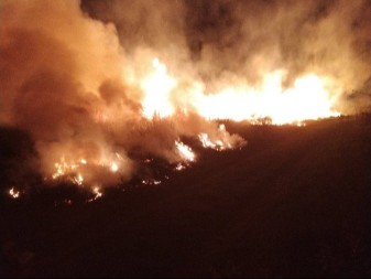 Ugašen požar u Popovom polju