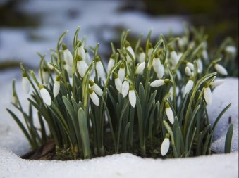 Spremite se: Stiže velika promjena vremena