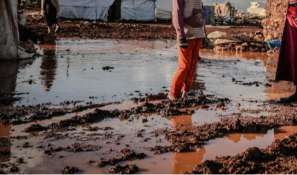 Moguća Godzila, razočaravajuća prognoza za ljeto (VIDEO)