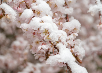 Sve legende o mjesecu martu: Ko je baba Marta i zašto je tako ćudljiva?!