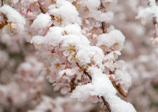 Sve legende o mjesecu martu: Ko je baba Marta i zašto je tako ćudljiva?!