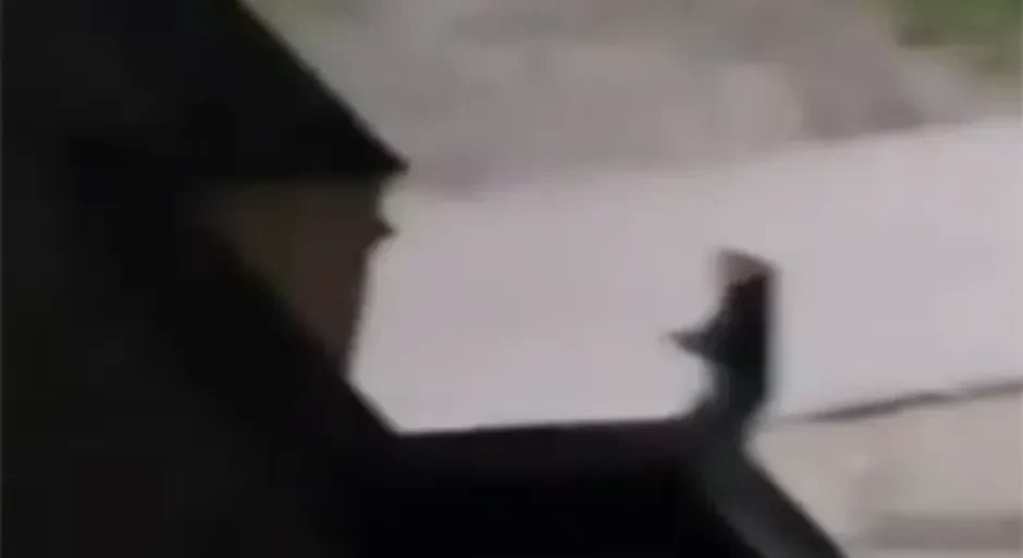 Pucnjava u BiH: Gazda lokala ugledao provalnika pa otvorio vatru (VIDEO)