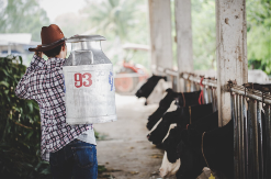 Dobre najave iz Ministarstva za poljoprivrednike u Srpskoj