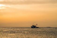 Iranci zatvorili ključnu rutu za trgovinu naftom: Zapalićemo svaki brod