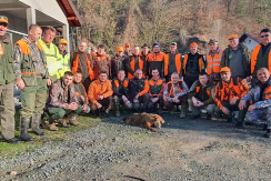 Šakal prvi put pao kod Banovića, pravio štetu na stoci