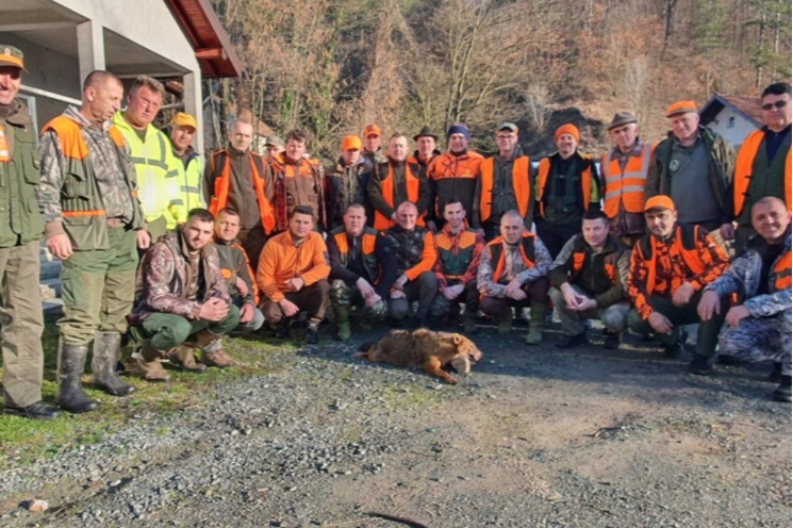 Šakal prvi put pao kod Banovića, pravio štetu na stoci