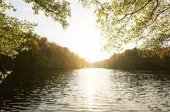 Prognoza za sutra: U ovim predjelima kiša