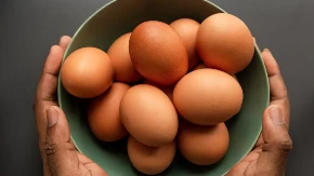 Izvoz jaja iz BiH porastao: Vrijednost veća za 84 odsto u odnosu na prošlu godinu