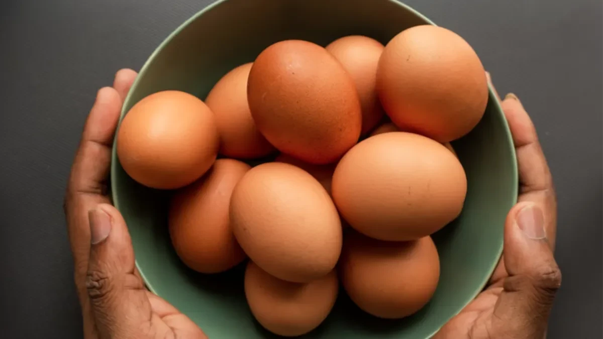 Izvoz jaja iz BiH porastao: Vrijednost veća za 84 odsto u odnosu na prošlu godinu