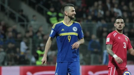 Ibišević pred okršaj sa Velsom: Imamo iskustvo na našoj strani