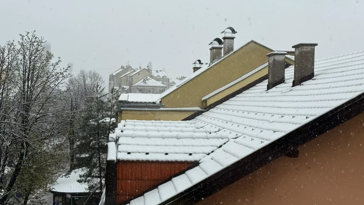 Snijeg paralizovao istok Bosne: Tri opštine ostale bez električne energije