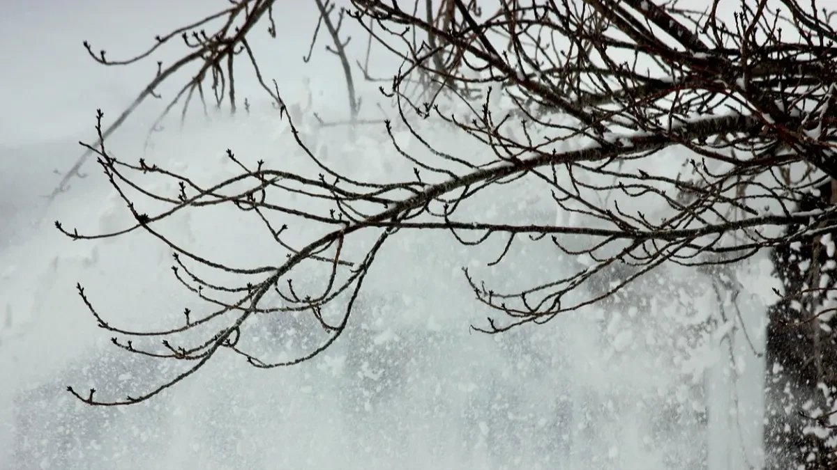 Kolaps zbog snijega u BiH: Škole zatvorene, gradovi bez struje 