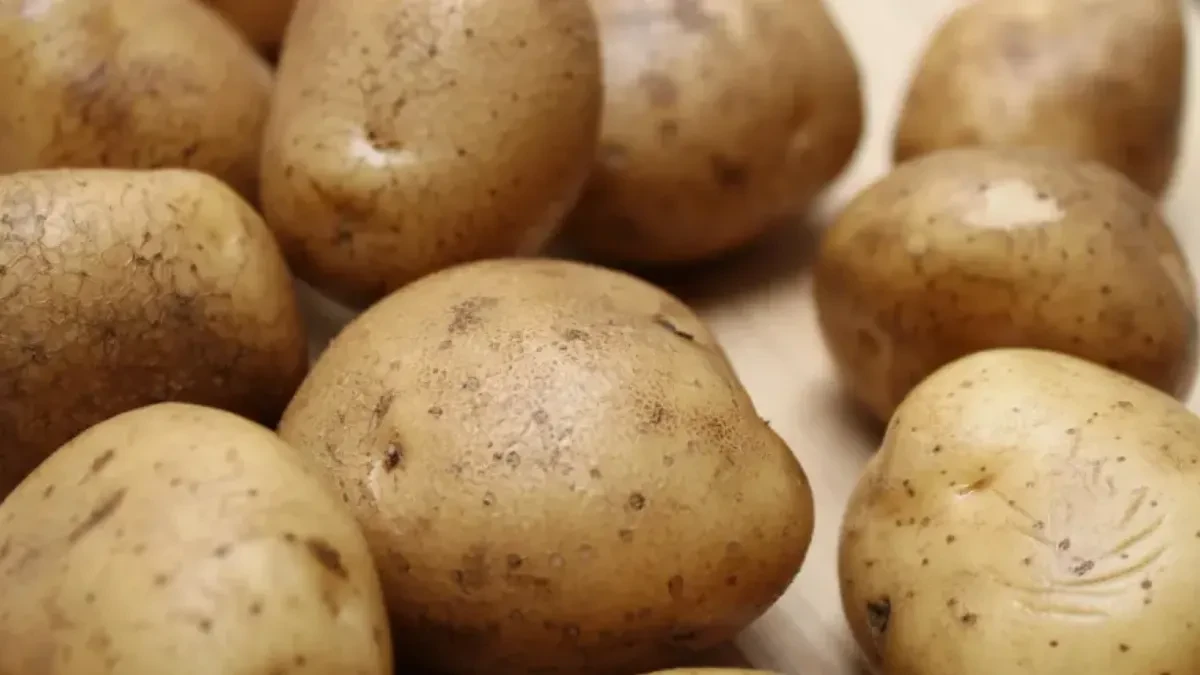 Zeleni krompir: Da li je opasan za jelo i kada ga ipak smijete iskoristiti?