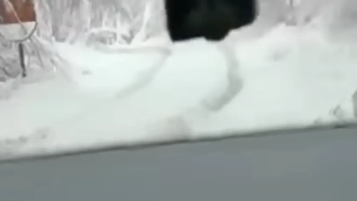 Svake godine isto: Kolaps na putu Banjaluka-Donja Kola (VIDEO)