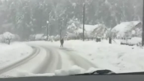 Nevrijeme u Kotor Varošu: Sela u blokadi, snijeg i dalje pada (FOTO)