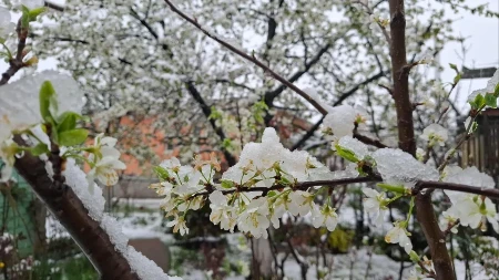 Vremenska prognoza za ponedjeljak, 30. mart