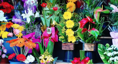 Cvjećare u BiH na meti inspekcije zbog upotrebe zaštićene biljke