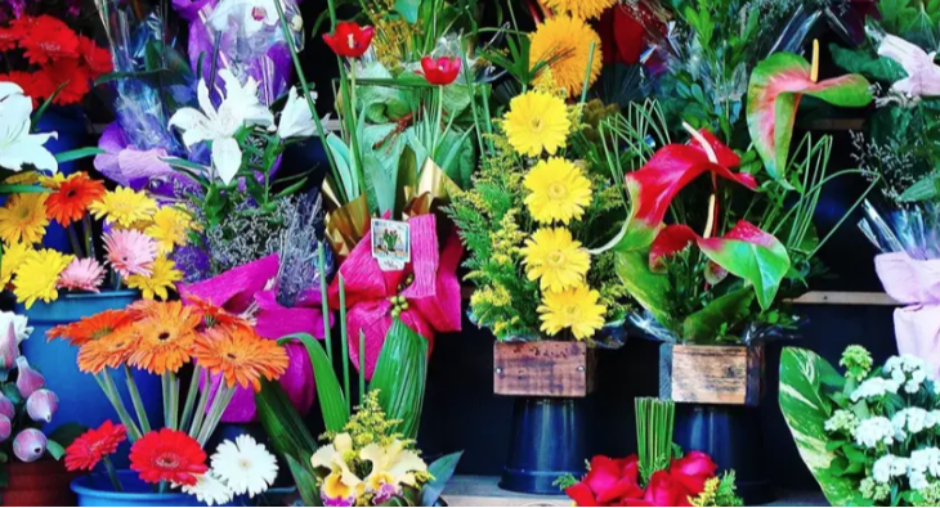 Cvjećare u BiH na meti inspekcije zbog upotrebe zaštićene biljke