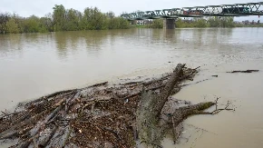 Nabujala Sava nosi velike količine izvaljenog drveća i smeća: Vlasnici čamaca i brodića pripravni
