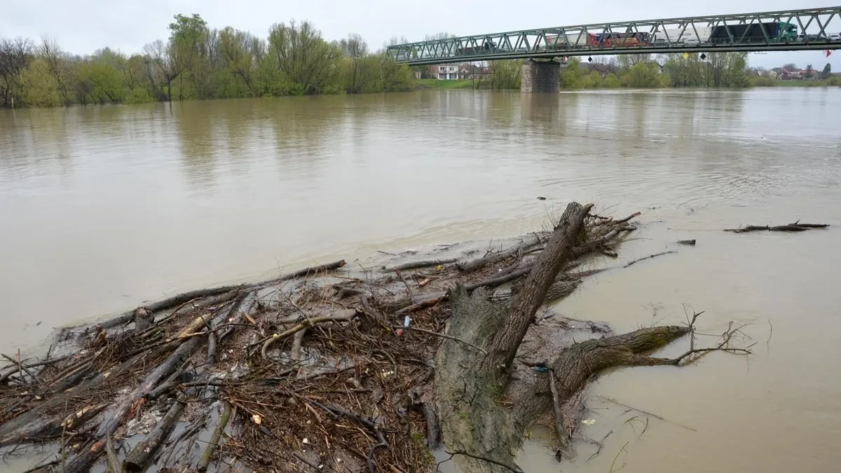 Nabujala Sava nosi velike količine izvaljenog drveća i smeća: Vlasnici čamaca i brodića pripravni