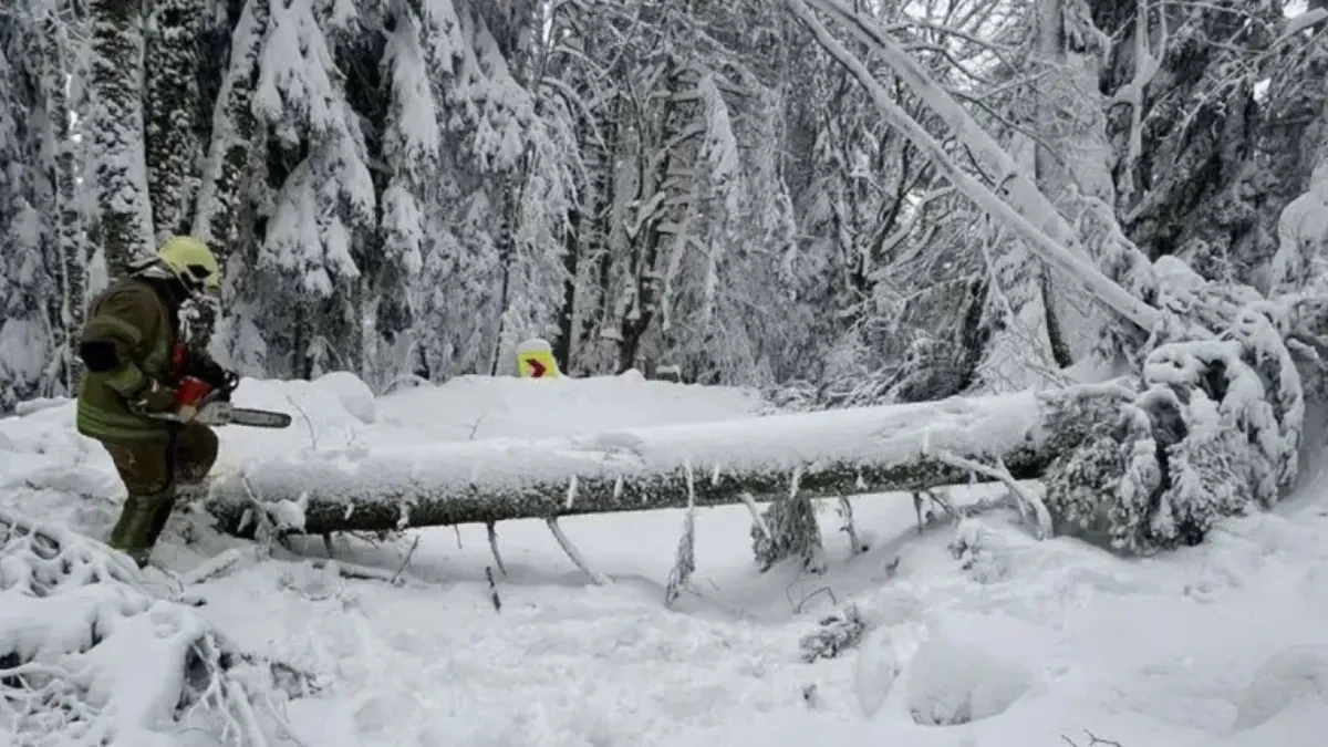 Nevrijeme paralisalo Kozaru: Snijeg dva metra, putevi zatrpani (FOTO)