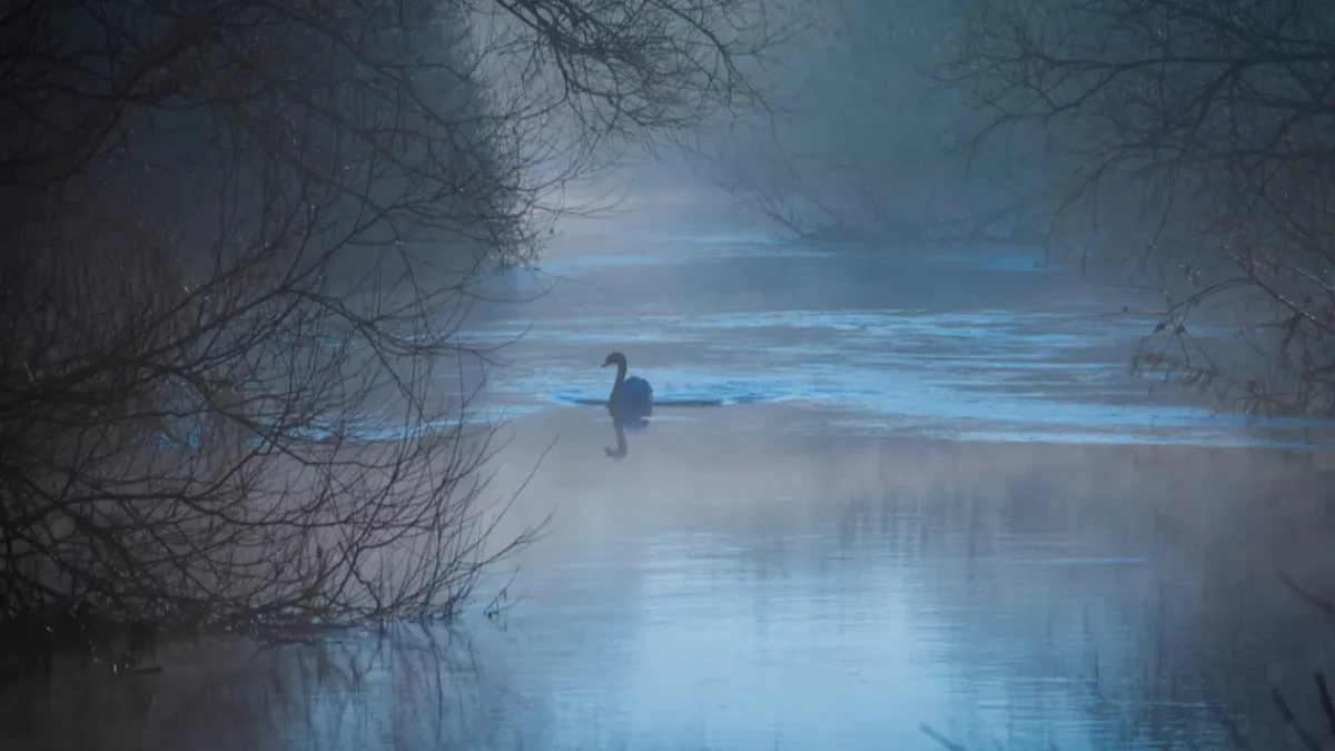 Vremenska prognoza za srijedu: Vjetrovito i sa padavinama