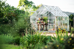 Bićete nam zahvalni: Ovaj otpad iz kuhinje može spasiti vašu baštu od puževa