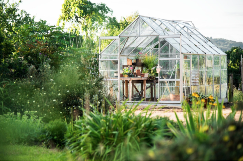 Bićete nam zahvalni: Ovaj otpad iz kuhinje može spasiti vašu baštu od puževa