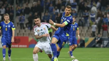 Oglasio se Šalke o stanju Edina Džeke nakon nezgodnog pada