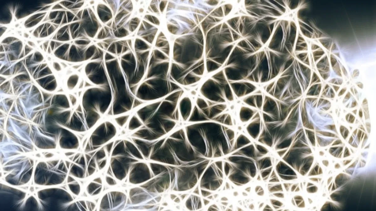 Najkraći IQ test na svijetu ima samo tri pitanja